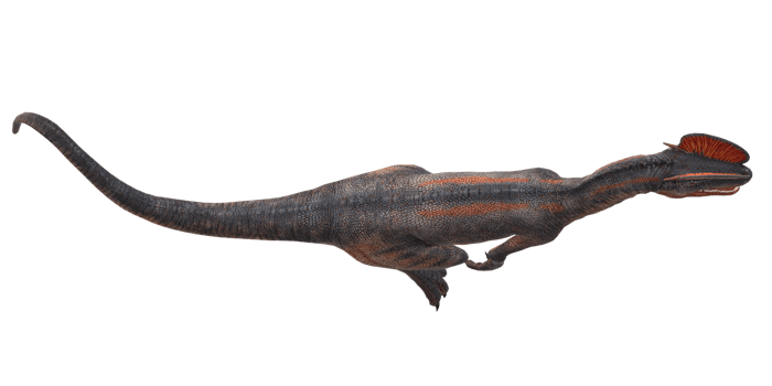 Dilophosaurus on a Transparent Background png