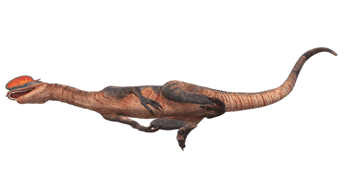 Dilophosaurus on a Transparent Background png