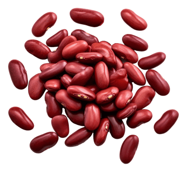 red bean isolated on transparent background png
