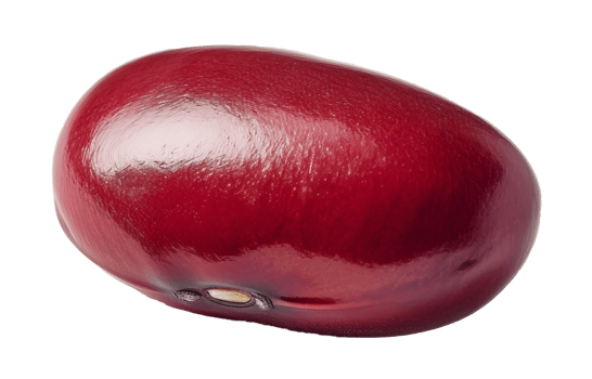 red bean isolated on transparent background png