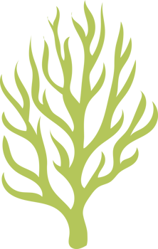 sea coral illustration design isolate png