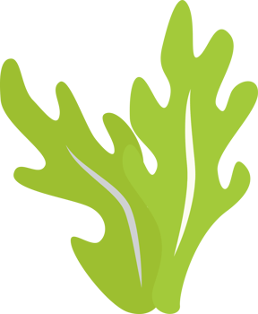 green seaweed illustration design isolate png