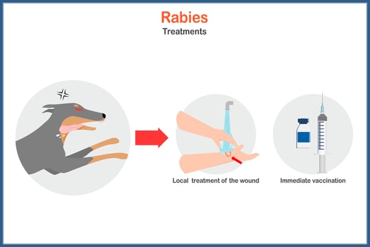 Illustration of Medical and healthcare concept with rabies treatment in flat style vector