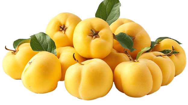 fresh Quinces transparent image png
