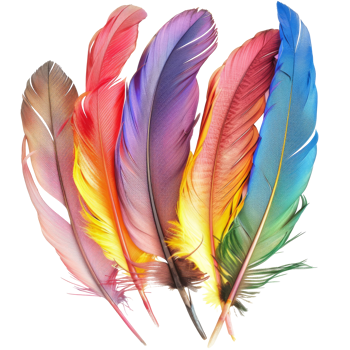 Brightly colored feathers, with a transparent background png