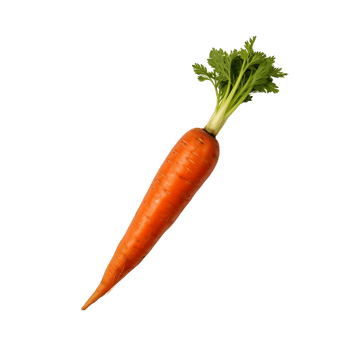 Clear Fresh Carrot Clip Bundle png