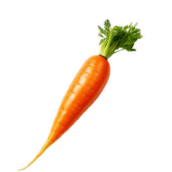 Transparent Bunch of Organic Carrots png
