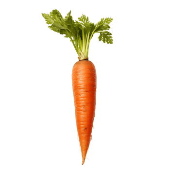 Organic Carrots with Clear Background png