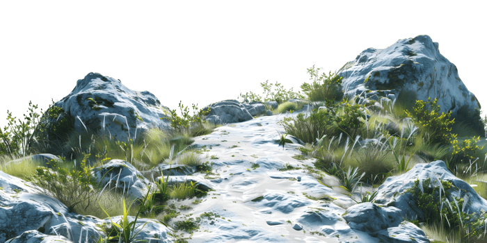 Stone path with grass and flowers isolated on transparent background png