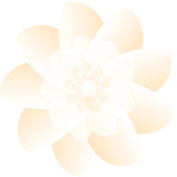 Orange Flower Illustration png