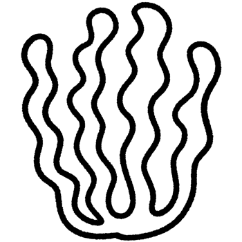 Coral line,Shell line,seaweed Black and white outline white color in shape and black line png