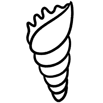 Coral line,Shell line,seaweed Black and white outline white color in shape and black line png