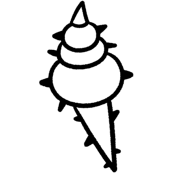Coral line,Shell line,seaweed Black and white outline white color in shape and black line png