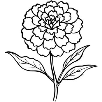 Marigold Flower Bouquet outline illustration coloring book page design, Marigold Flower Bouquet black and white line art drawing coloring book pages for children and adults vector