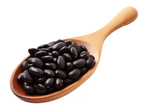 black bean isolated on transparent background png