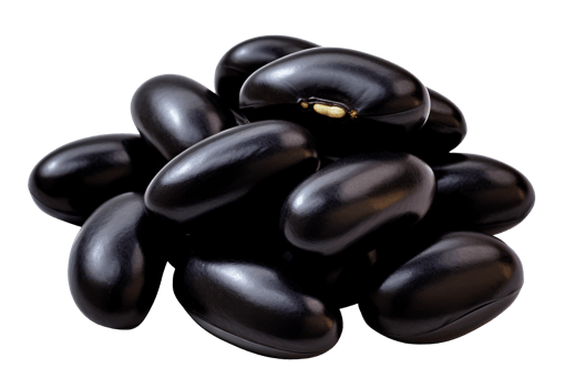 black bean isolated on transparent background png