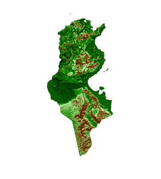 Tunisia Topographic Map 3d realistic map Color 3d illustration png