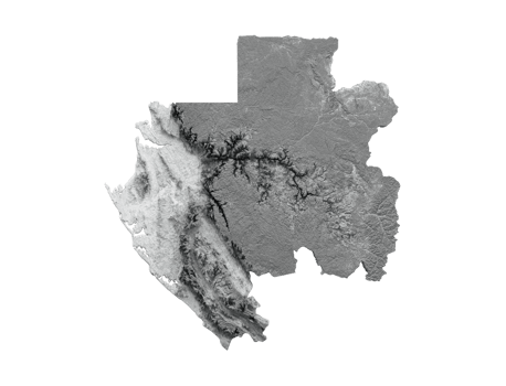 Gabon Map Flag Shaded relief Color Height map 3d illustration png