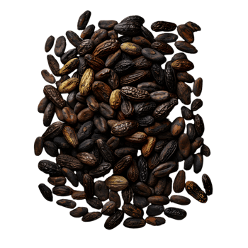 Close-up of roasted brown coffee beans isolated on a transparent background png