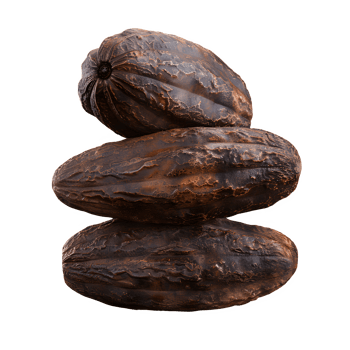 Isolated pile of brown roasted coffee beans for a dark cup of beverage isolated on a transparent background png