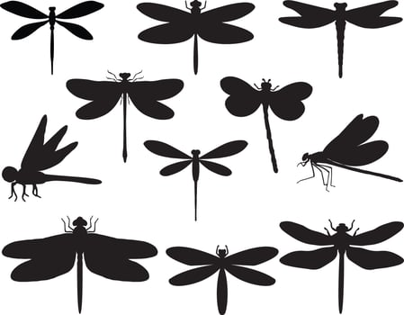 Dragonfly silhouette on white background vector