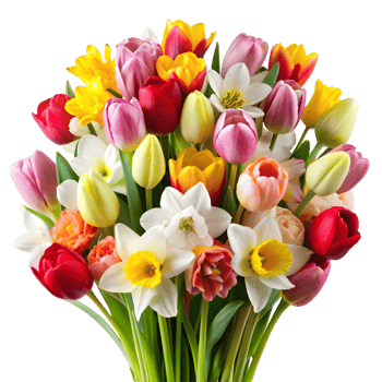 Spring Bulbs Including Tulips and Daffodils Isolated on a Transparent Background png