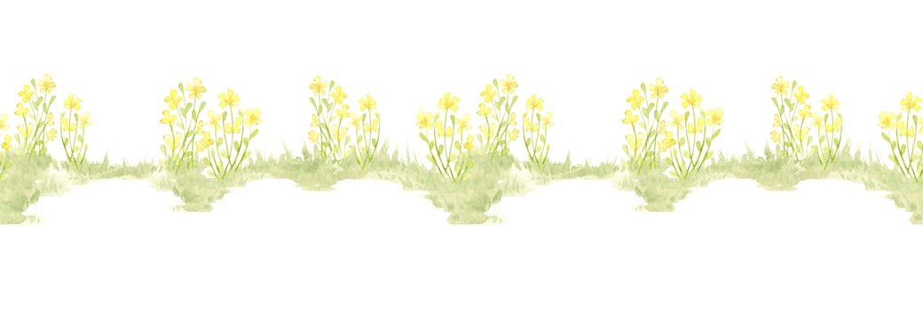 Clearing with yellow flowers pattern horizontal element of watercolor illustration of natural landscape. Forest wildlife scene with herbs, flowers, vegetation. To compose compositions on the theme png