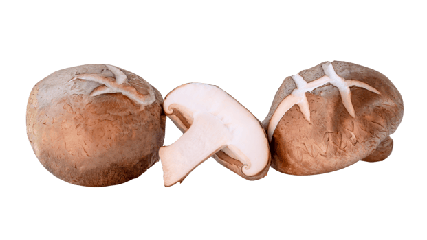Front view of shiitake mushrooms with half in stack isolated with clipping path in file format png