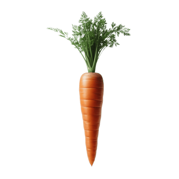carrot on transparent background png