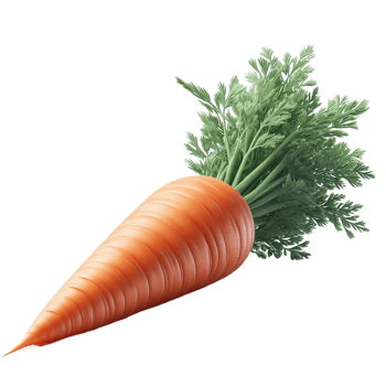 carrot on transparent background png
