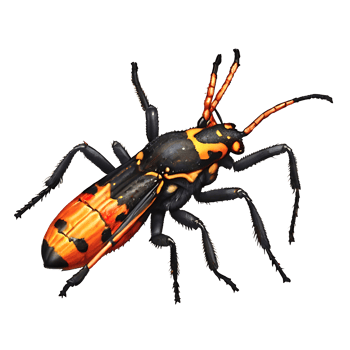 Bug Logo design png