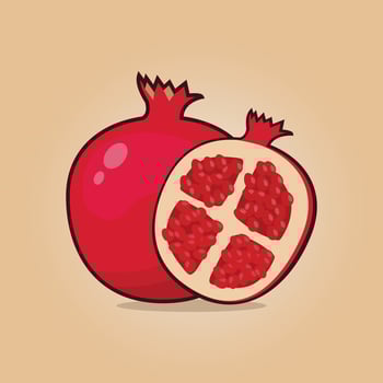 Summer tropical fruits for healthy lifestyle. pomegranate fruit illustration. vector
