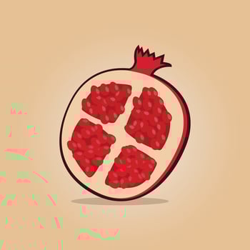 Summer tropical fruits for healthy lifestyle. pomegranate fruit illustration. vector