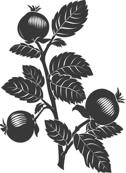 Silhouette Hazelnut fruit black color only vector