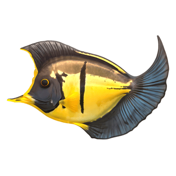 Bat Fish Icon design png