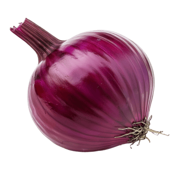 Purple Majesty Discover the Delightful Aroma and Taste of Fresh Purple Onions png