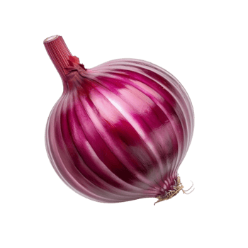 Nature's Bounty Revel in the Richness of Freshly Picked Purple Onions png