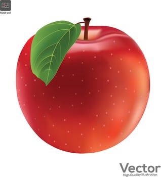 Red fresh apple isolated on white background. vector