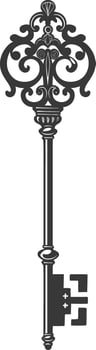 Silhouette key black color only vector