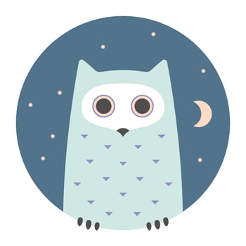Animal set. Portrait in flat graphics - Owl vector