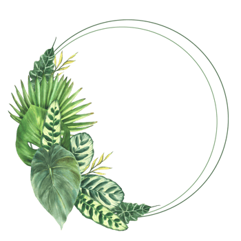 Tropical green leaves wreath, exotic home plant, Monstera palm, creeper. Variety of leaf types circle frame. Botanical jungle clipart. Watercolor hand drawn illustration. Isolated background. png