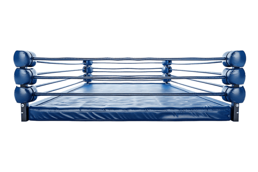 Boxing cage on isolated transparent background png