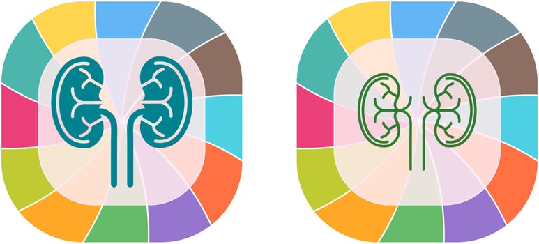 Kidney Icon Design vector