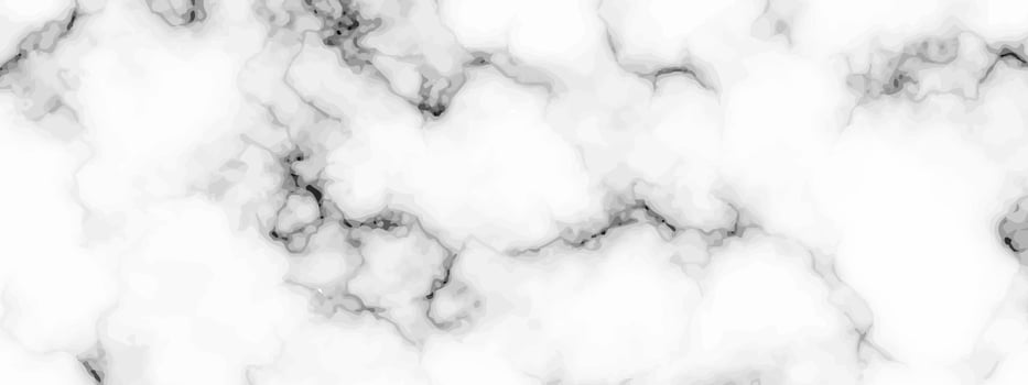 White marble texture background vector