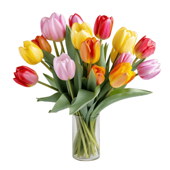 Colorful bouquet of tulips isolated on transparent background png