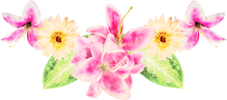 Watercolor Flower Illustration png