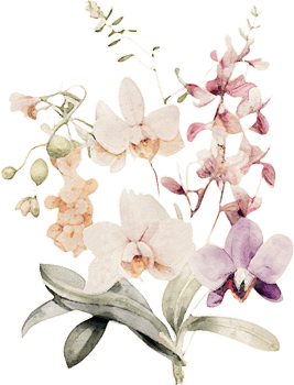 Watercolor Orchid Flower Illustration png