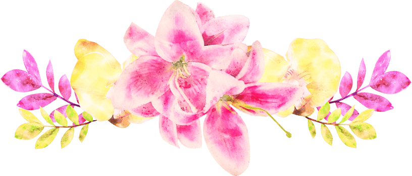 Watercolor Flower Illustration png