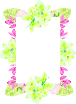 Watercolor Flower Frame Illustration png
