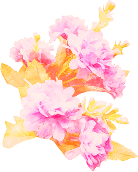 Watercolor Flower Illustration png